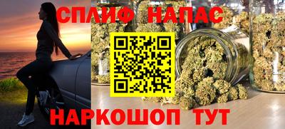 стаф Ставрополь